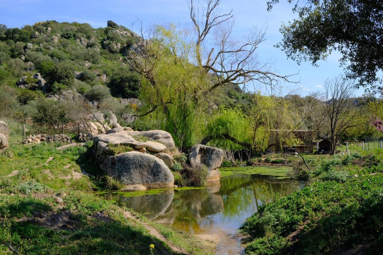 Il Nuraghe Del Lago Coghinas Oschiri Екстериор снимка