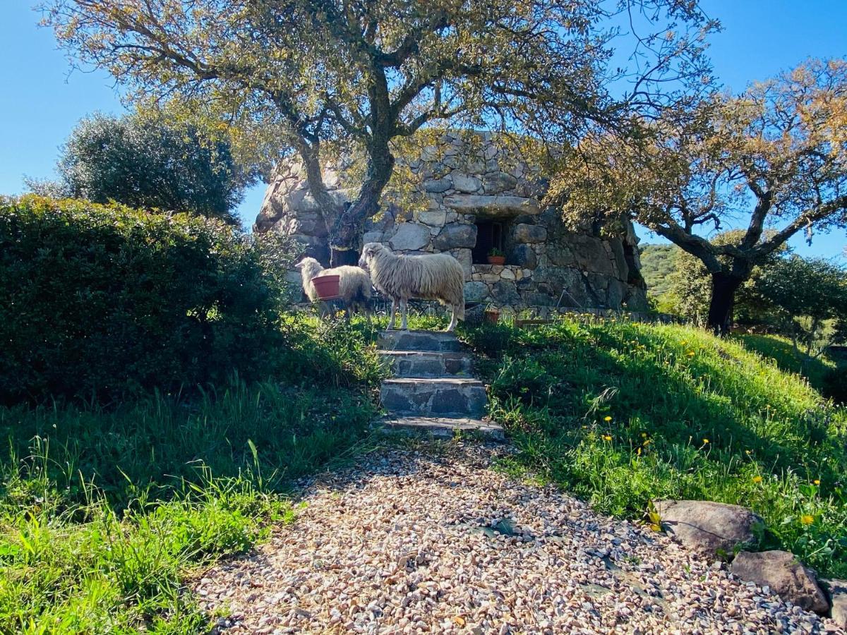 Il Nuraghe Del Lago Coghinas Bed & Breakfast Oschiri Екстериор снимка