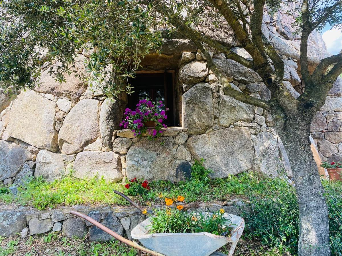 Il Nuraghe Del Lago Coghinas Bed & Breakfast Oschiri Екстериор снимка