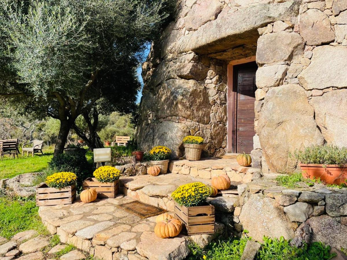 Il Nuraghe Del Lago Coghinas Oschiri Екстериор снимка