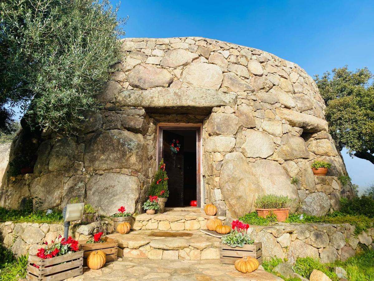 Il Nuraghe Del Lago Coghinas Bed & Breakfast Oschiri Екстериор снимка