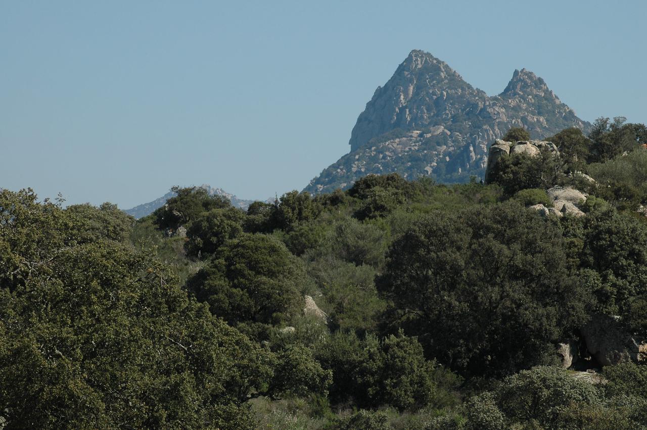 Il Nuraghe Del Lago Coghinas Bed & Breakfast Oschiri Екстериор снимка