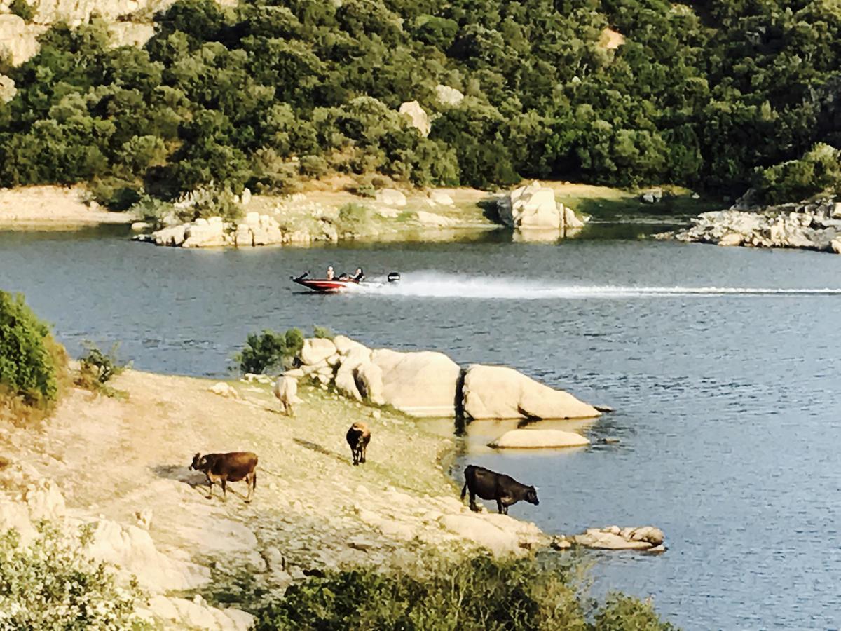 Il Nuraghe Del Lago Coghinas Bed & Breakfast Oschiri Екстериор снимка